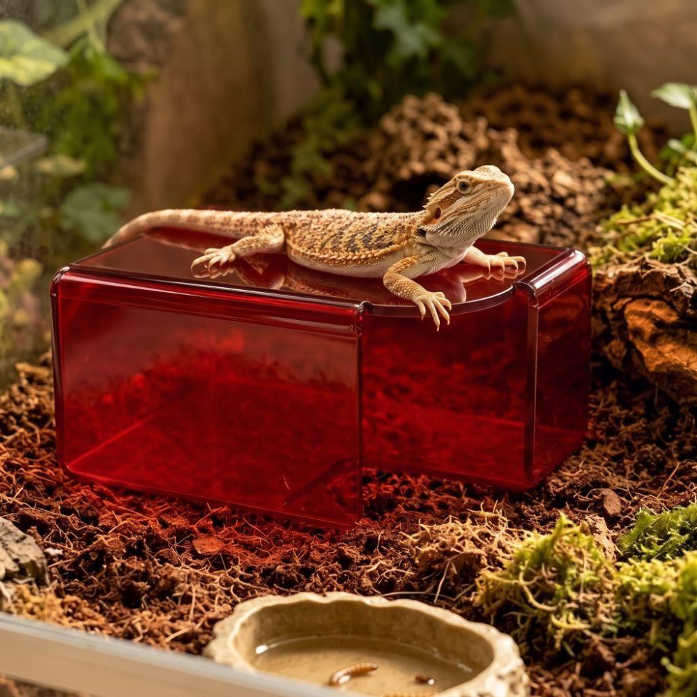 Translucent Lizard Acrylic Shelter Breathable Reptile Hideout Reptile Hide Cave  Pet Breeding