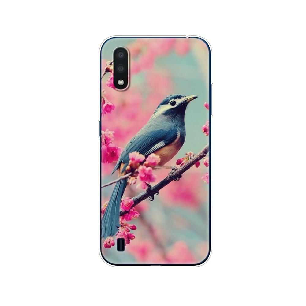 For Samsung M01 Case 5.7" Soft Silicon Tpu Cover For Samsung Galaxy M01 M 01 SM-M015FZBDSER M015 Phone Back Shell Bumper Funda