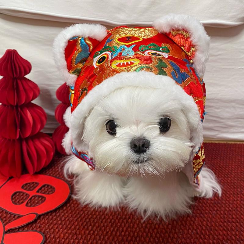 New Year's Festive Tang Suit Tractionable Dog Clothes Teddy Bichon Pomeranian Small Dog Cat Pet Clothes New Year