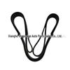 6PK2255 Alternator Belt for SsangYong Actyon, Kyron, Rexton - Part 6659970392