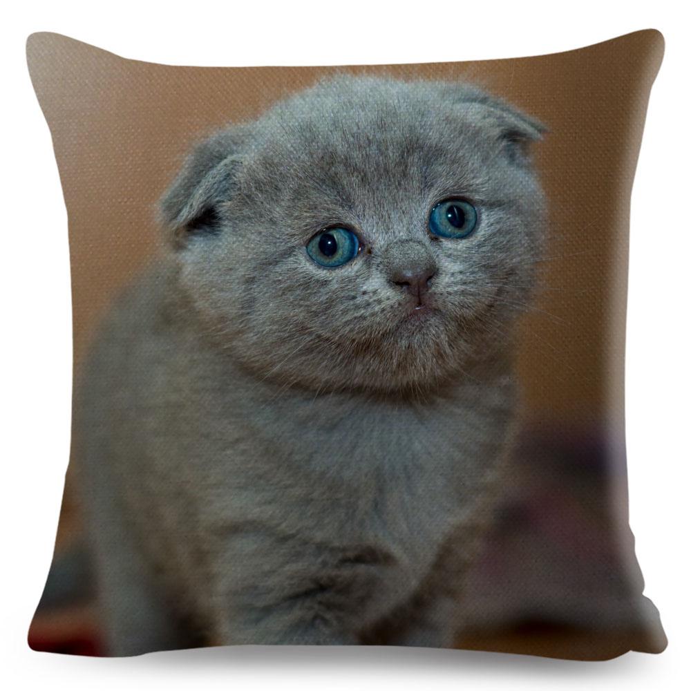 Housse de coussin British Shorthair bleu russe, taie d'oreiller en Polyester, décoration de chat mignon, Animal de compagnie, pour canapé, maison, voiture