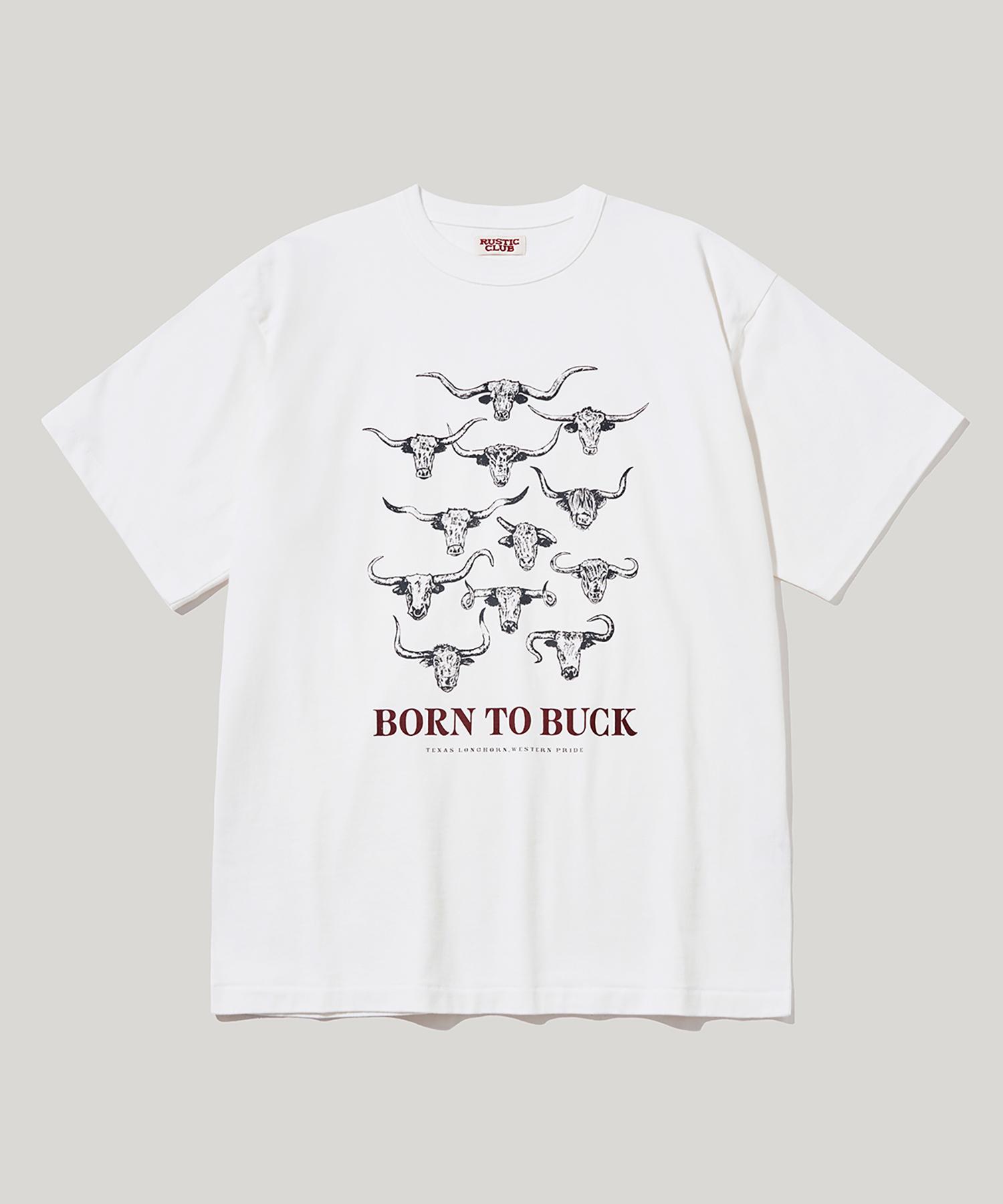 Rustic Club Rc Texas Longhorn T-Shirt Off White/S