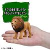 TAKARA TOMY Animal Dinosaur Realistic Moving Figure Toy Ages 3 and up Toy Safety Standards Passed ST Mark Certified ANIA TAKARA TOMY "ANIA AS-01 Lion"