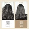 Natural Authentic Bristle Hair Air Cushion Comb Airbag Massage Comb Hair Skin Meridian Fluffy Bamboo Comb Beech Comb