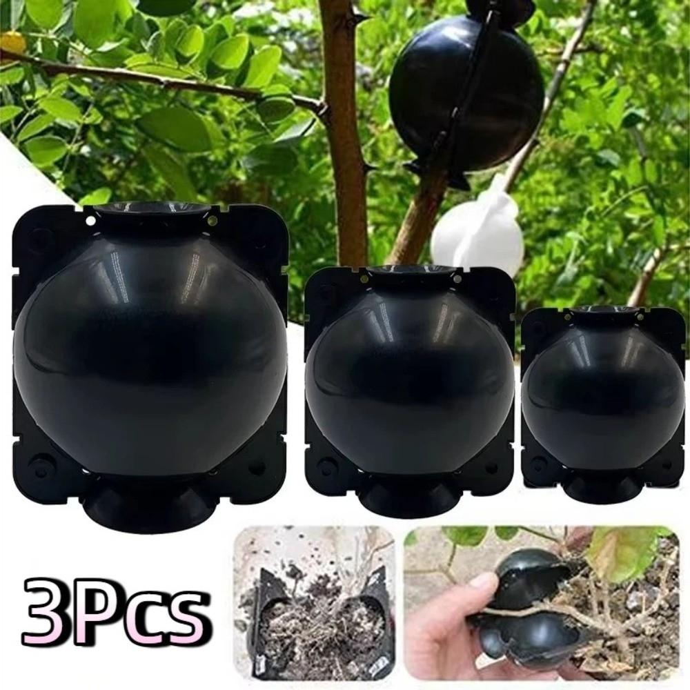 3Pcs Fast Propagation Grafting Rooting Box Plastic Plant Root Growing Box  Garden Planting