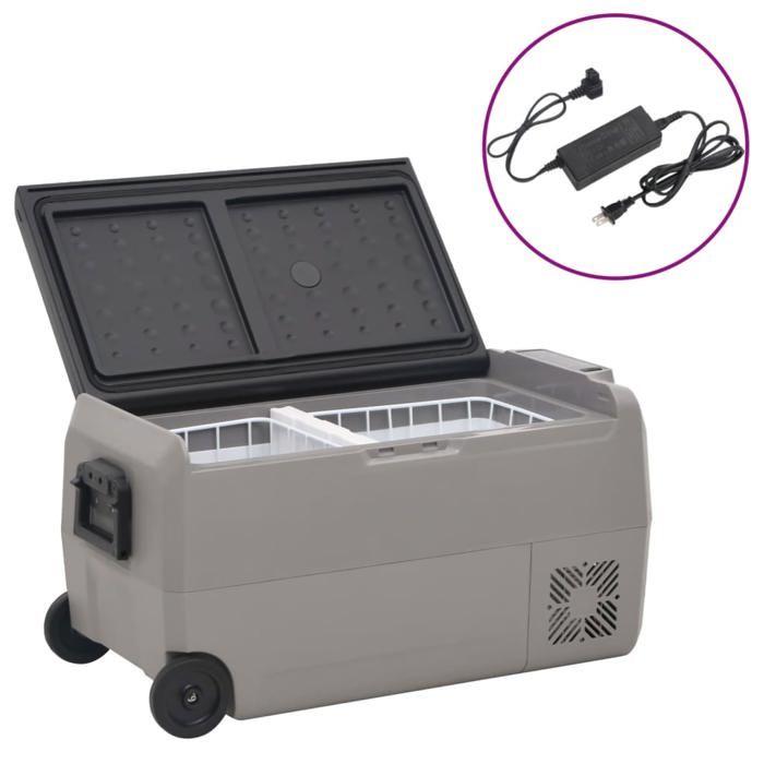 VidaXL Cooler with Wheel and Adapter Black and Grey 50 L PP and PE, Electric Cooler, Compressor Refrigerator, 3154639