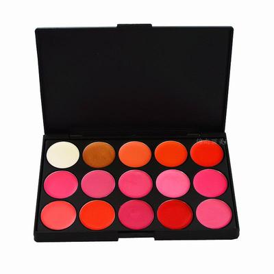 Set Profesional Paletă 15 Culori Ruj și Luciu de Buze - Include Nuanțe Roșu Intens și Nude pentru Artiști Make-up de QYMJS