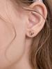 Rosemont 14K Butterfly Earrings Ra26A12T
