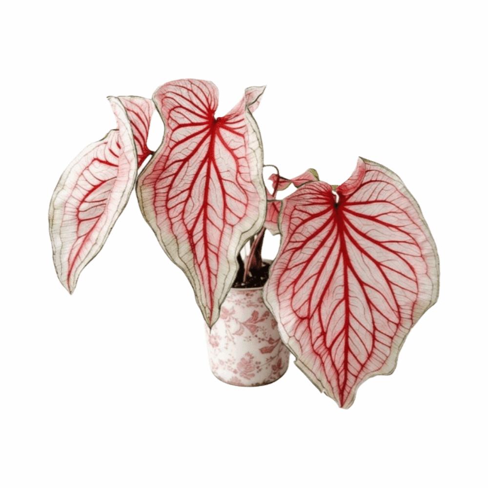 Rotatable Artificial Plant Fridge Stickers Magnets Waterproof Mini Plant Fridge Magnet Kitchen