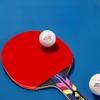 DOUBLE FISH Professional Diamond Series Table Tennis Racket