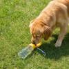 Leak-proof Outdoor Dog Water Bottle Sealed Detachable Dog Water Dispenser Press Design with Filter Pet Travel Cup Cat