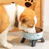 Elevated Pet Food Bowl Anti-slip Raised Stainless Steel Cat Food Water Bowl with Stand Pet Feeding Drinking Bowls for Cats Dogs