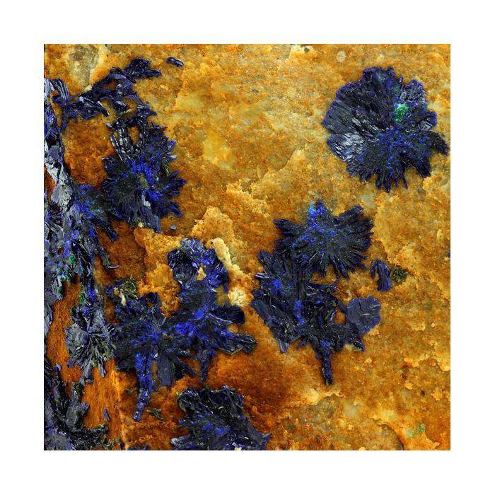 Pierres et Minéraux. Azurite. 2204.0 ct. Cap Garonne, Le Pradet, Var, France.