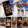 Yorkshire Terrier Dog Phone Case For Samsung Galaxy S25 Ultra S23 S20 S21 S22 S24 FE S9 S10 Plus S24 Ultra Cover