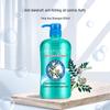 Fenghua Herbal Anti-Dandruff Shampoo