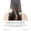 Hoegoa Hair Nourishing Shampoo Moisturizes And Care For Hair, Increases Smoothness, Volume, And Strength
