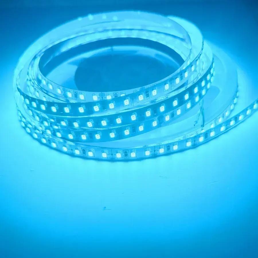12V 24V 220V 10m 5m SMD2835 LED-Streifen Hauslampe Streifen Dekor Bunt Flexibler Lampenstreifen TV-Hintergrund Heimdekoration 120 LEDs/m