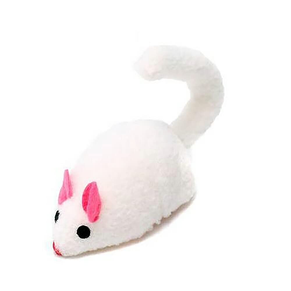 

CattyMan - Playful Cat and Runaway Mouse