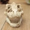 Dinosaur Skull Aquarium Ornament, Resin Water Plant Decor MB9-16