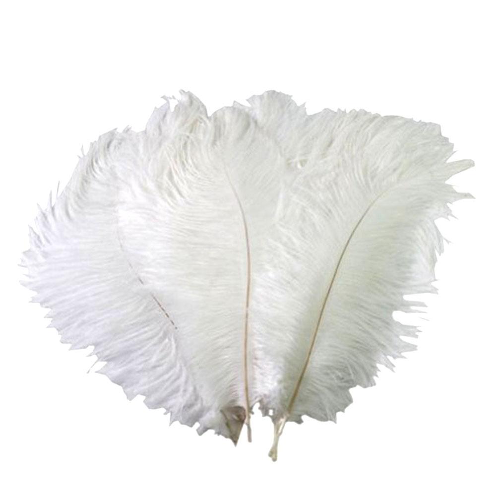 

5Pcs Natural Ostrich 30-35Cm Delicate Real Bird Plumes for Craft Wedding Decor Party Costume Home Decoration белый