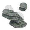 Tortoise Climbing Platform Resin Lifelike Aquarium Rock Ornament Reptile Basking Dock with Suction