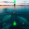 Rubber LED Fishing Floats Multicolor Electronic Light Floats Luminous Fishing Floats  Night Fishing