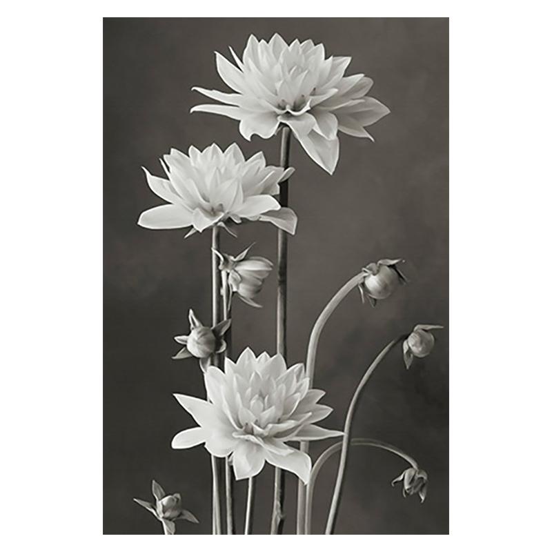 3PCS Black and White Beautiful Flower Canvas Painting Nordic Minimalist Posters Living Room Interior Wall Art Picture Home Decor