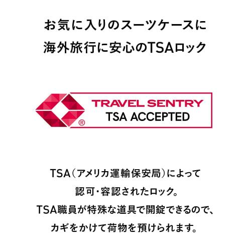 Master Lock TSA Lock, Keyed, Compact, Lightweight, 25mm Wide, 14mm Inner Diameter, Suitable for Suitcases, Travel Bags, and International Travel, Secu