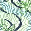 Geisodo Chiyogami Art Sea A OR-5