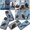 Fly Bald Eagle Phone Cover Case for Huawei P30 P20 Mate 20 Lite Pro Y7 Y6P Y7A 2019 Nova 5T 3I Casing