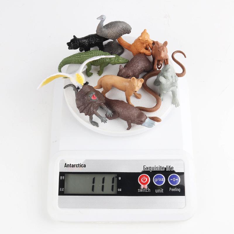 Marine Animal Models: Tuna, Triggerfish, Dolphin, Moray Eel, Squid, Whale Shark, Hammerhead Shark, Sea Turtle, Swordfish