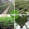 Disposable Seedling Grow Bags/Pots