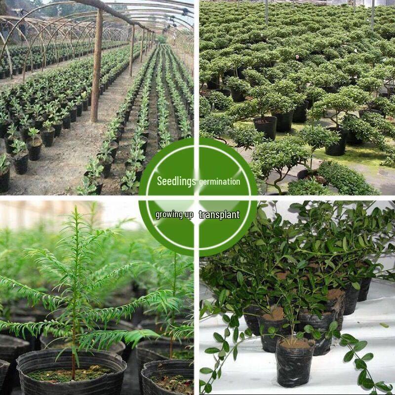 Shixun Disposable Seedling Pots