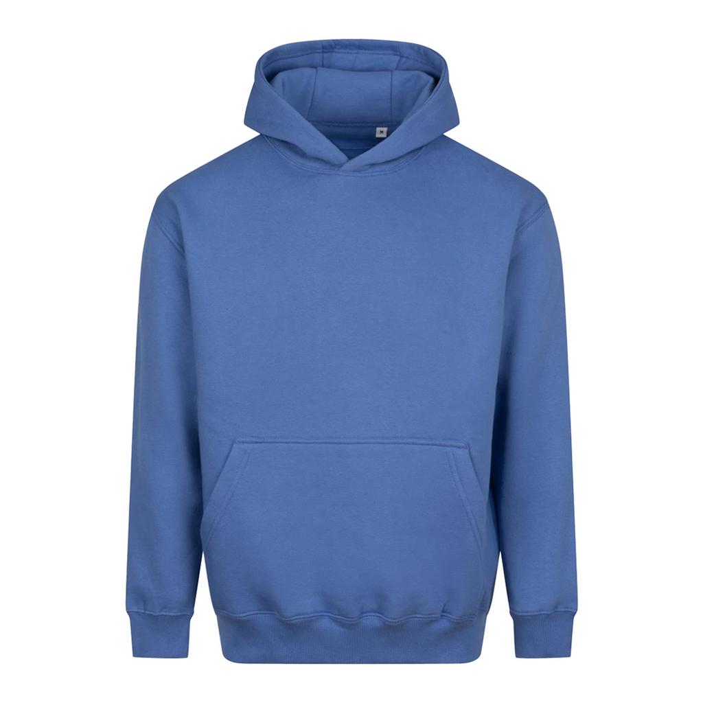 Awdis Unisex Adult Vision Heavyweight Hoodie