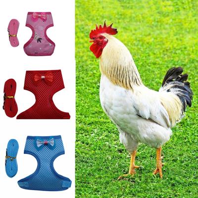 Haustiergeschirr Schleife Dekoration Sicherheit beim Spazierengehen Stoff Sicherer Brustgurt Leine für Huhn
