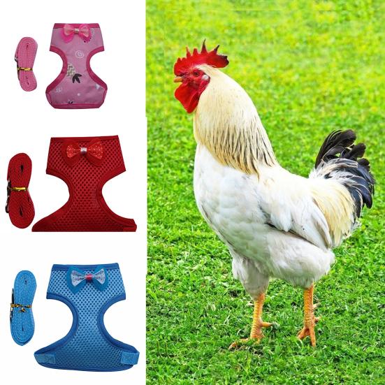 Pet Harness Bowknot Decor Walking Safety Fabric Safe Chest Strap Leash for Chicken