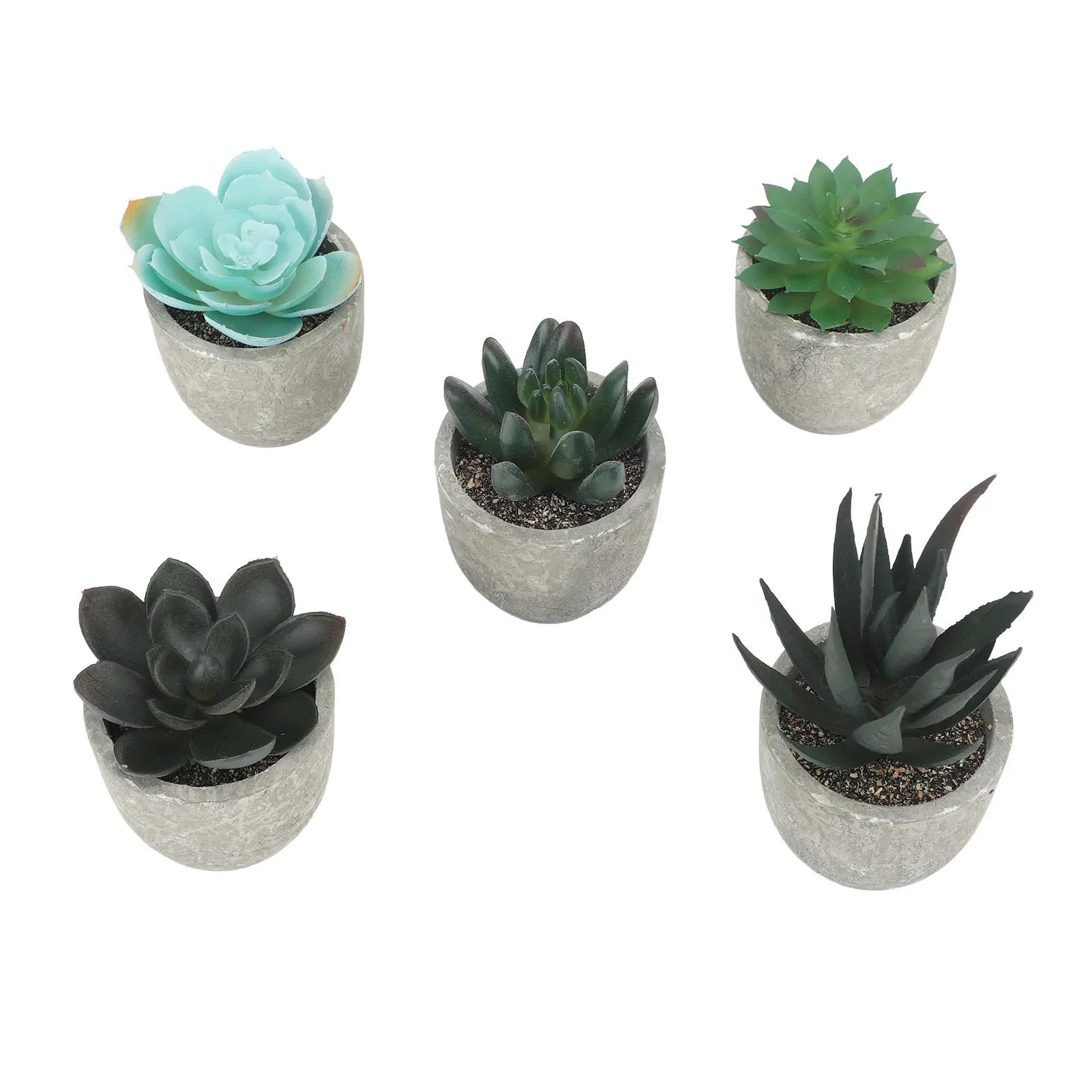

5pcs Artificial Succulent Plants Potted Assorted Mini Decorative Faux Succulent Potted Fake Plants Succulents In Paper Pulp Pot