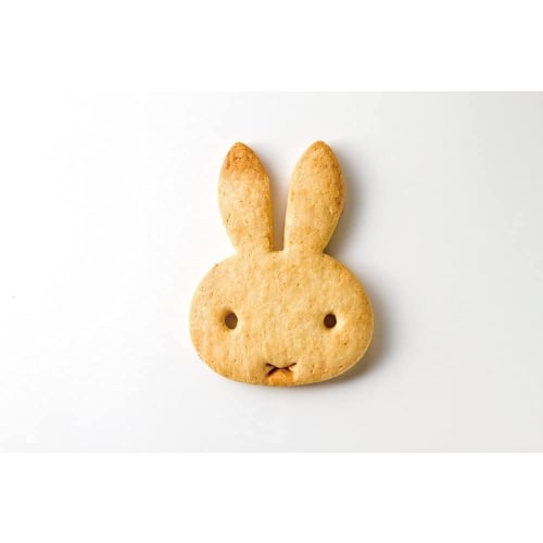 Skater Exciting Bread Cutting Mold Miffy 15 Made in Japan PNB1-A