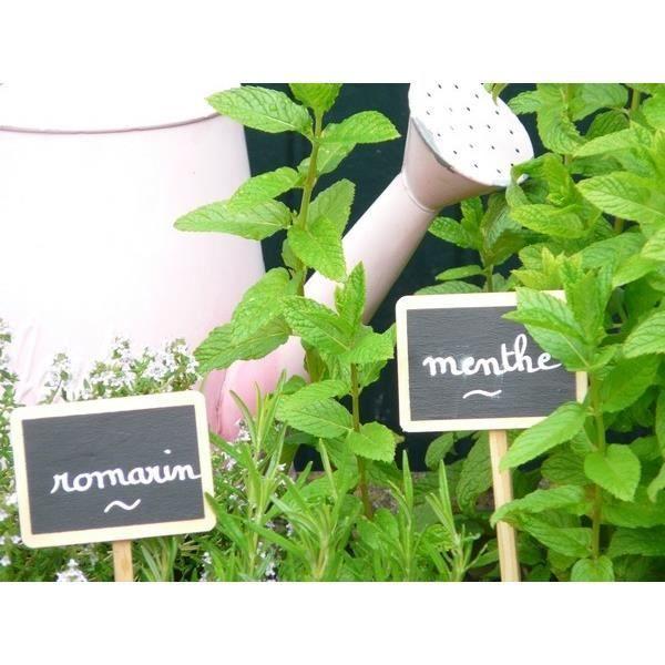 5 Etiquettes à planter 27,5 cm / 7X5cm