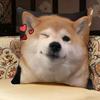 Shiba Inu Cute Pillow Case Pillowcase, Double-sided Printed, Sofa Cushion, Bedroom Headboard Pillow