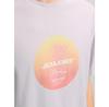 Jack & Jones Aruba Sunset Branding Short Sleeve T-Shirt