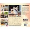 2026 Chihuahuas Dog Wall Calendar 16-Month X-Large Size 14x22, Dog Calendar by The KING Company-Monster Calendars