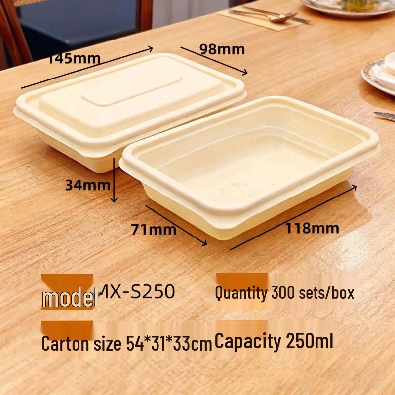Handon Biodegradable Corn Starch Takeout Containers