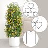 2 Pack Climbing Plant Trellis, Garden Support, for Hoya Flowers