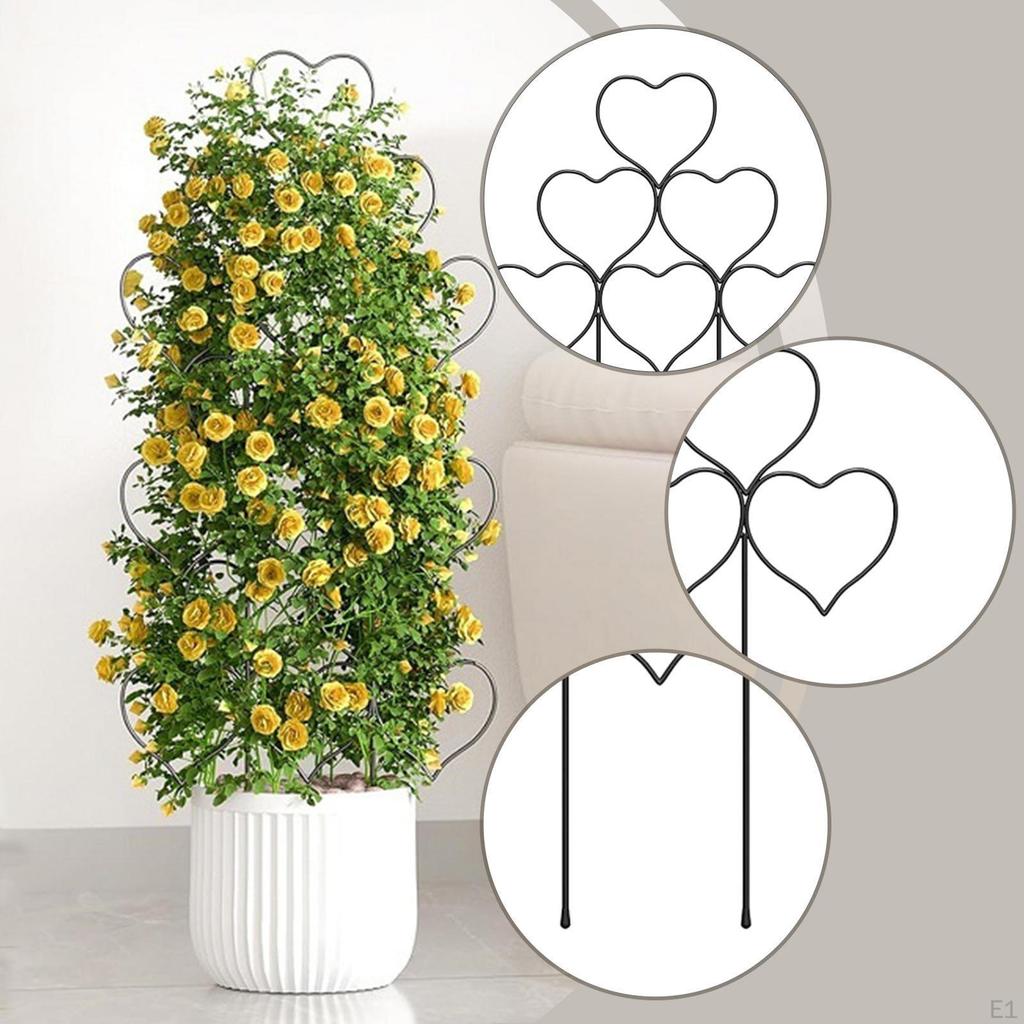 2 Pack Climbing Plant Trellis, Garden Support, for Hoya Flowers
