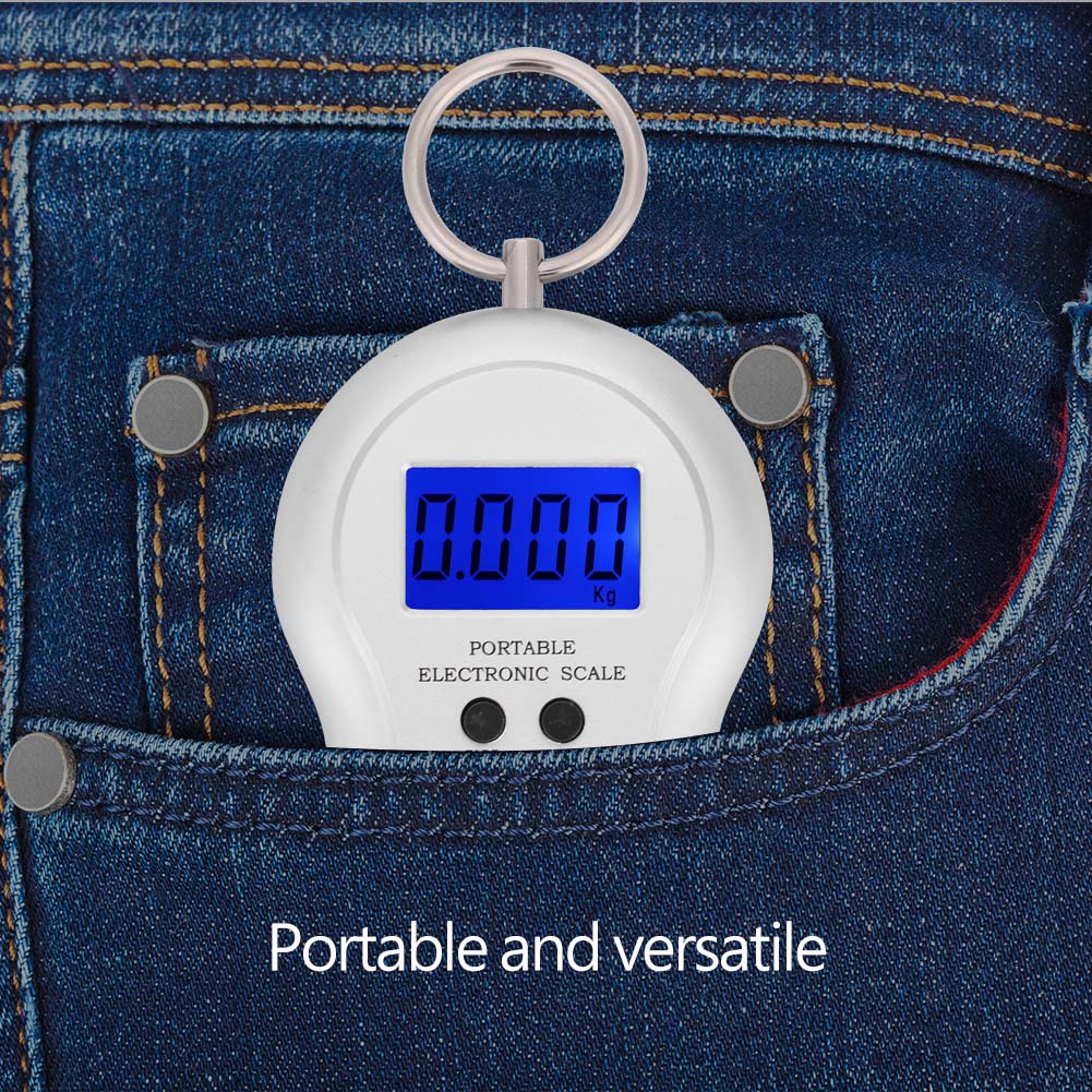 Portable Plastic Electric Digital Hanging Scale with Hook Tool for Fishing Luggage (Black)