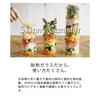 HARIO Skinny Canister 700ml SCN-700T