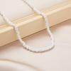 Fashion Colorful Rice Beads Necklace for Woman String Beaded Short Chic Clavicle Chain Necklace Girls Summer Jewelry Wholesale