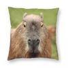 Portrait Of Handsome Capybara Square Pillowcase Polyester Linen Velvet Printed Zip Decorative Pillow Case Home Cushion Cover