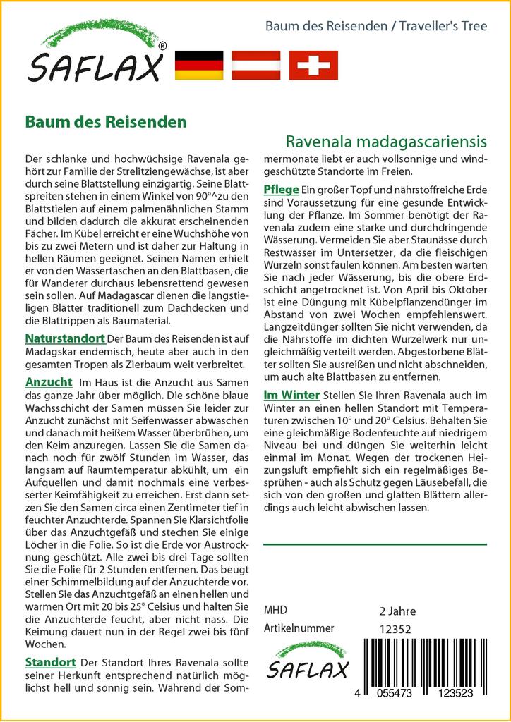 SAFLAX Gift Set - Traveller's Tree - 8 Seeds - With Gift Box, Card, Label and Potting Substrate - Ravenala Madagascariensis